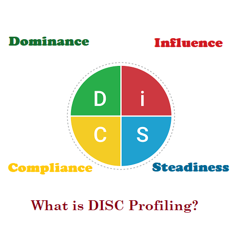 DISC Profiling