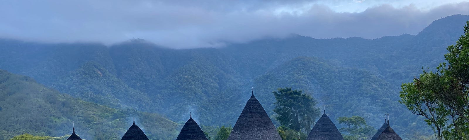 A photo of Wae Rebo village. Circular cone shaped bamboo and thatched roof homes