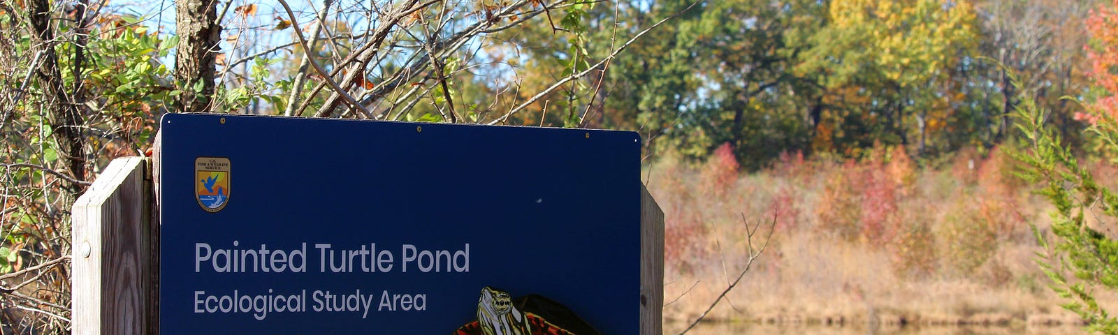 sign next to pond that reads “Painted Turtle Pond Ecological Study Area” with image of turtle