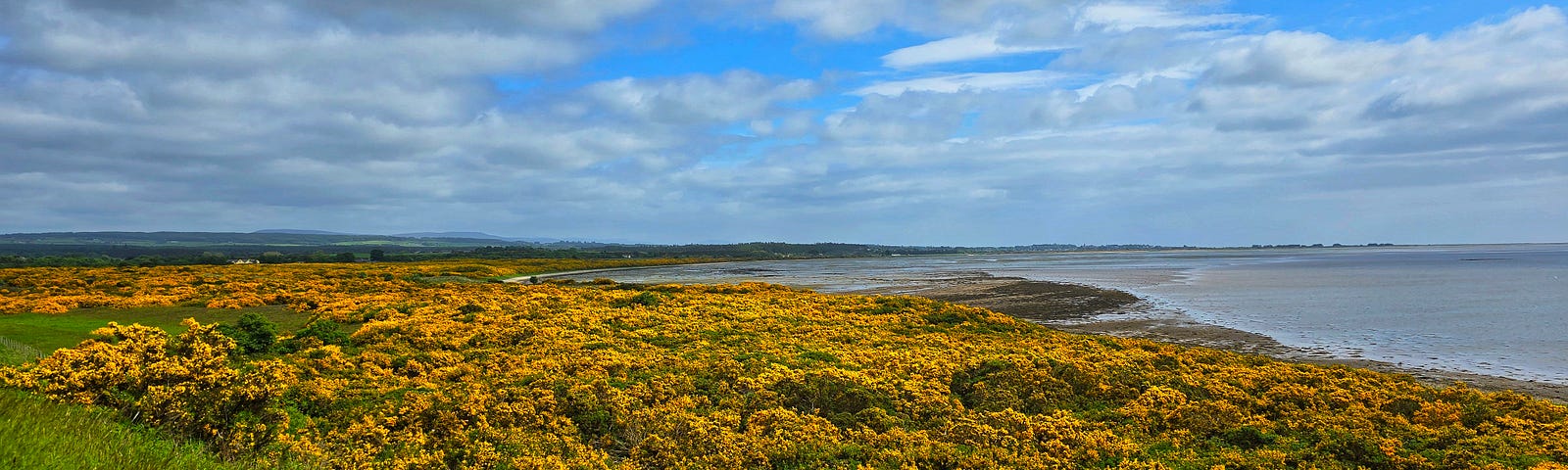 Stunning view from Dornoch Firth Bridge