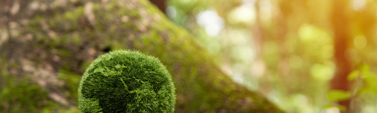 A globe made out of moss resting on a moss-covered tree root. Photo by Boy Wirat/Getty Images