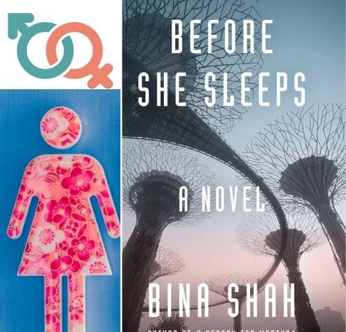 Bina Shah Before She Sleeps. Critical analysis and review of novel Before She Sleeps. Theme, storyline and analysis of Before She Sleeps