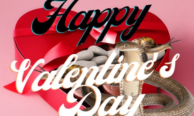 Valentine’s Day heart-shaped box of chocolates, but there are rocks and snails inside with a snake on top. The words “Happy Valentine’s Day” are above a group of smiling happy children waving.