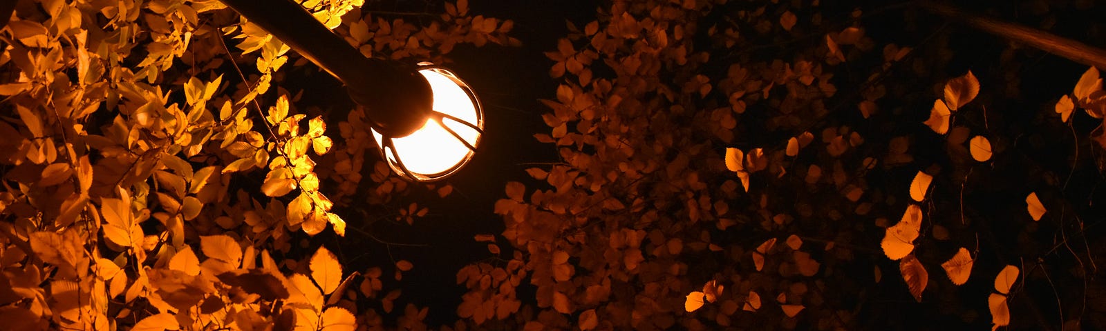 Streetlamp shining on fall-coloured leaves