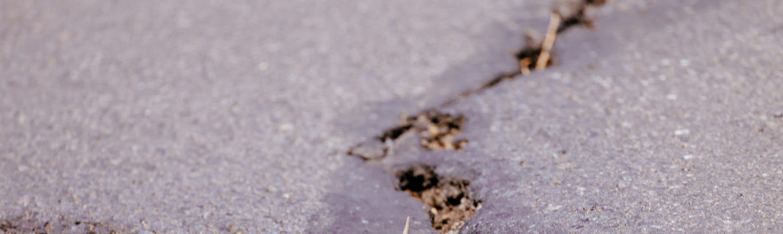 A concrete floor traversed by a crack.