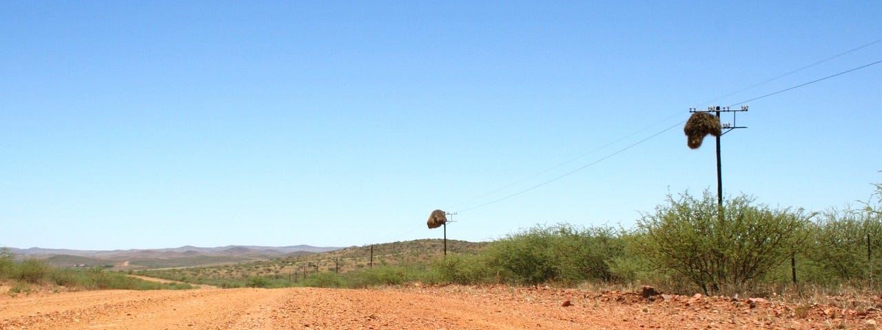 A blown out tire sits on the orange earth of a deserted highway against a backdrop of blue sky and rough, scrubby bushes.