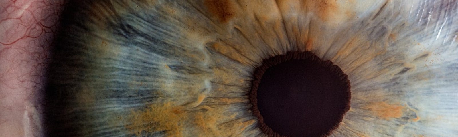 Super close up of a iris and retina of the human eye, that is blue and gold flecked in color.