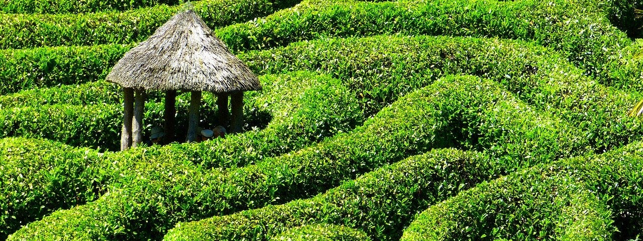 Hedge maze surrounding hut.