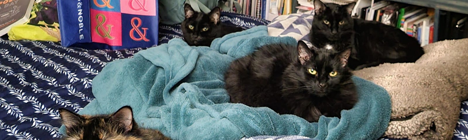four cats curled up on separate blankets on a colorful, though unkempt, bed
