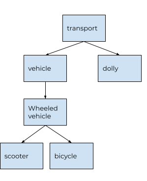 WordNet 3.1 depth explanation