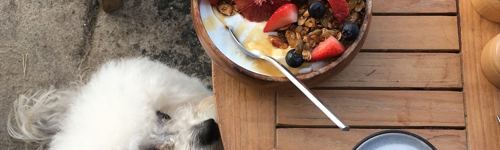 A white fluffy dog sits under a wooden table looking at the food. On teh table is a berry and yogurt bowl and a purple colored latte with a leaf design.