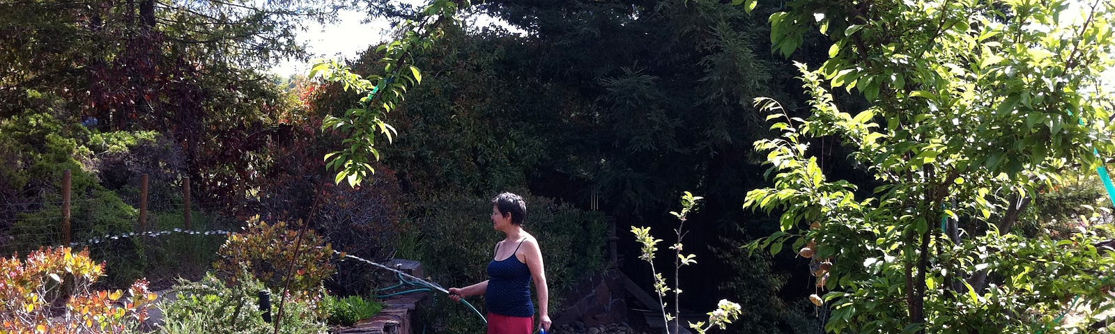 Woman watering a garden