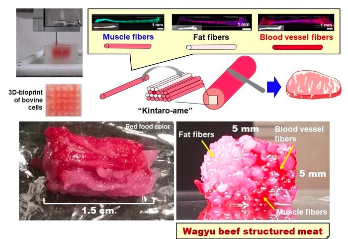 IMAGE: The process of obtaining synthetic Wagyu beef structured meat as depicted in a Nature paper