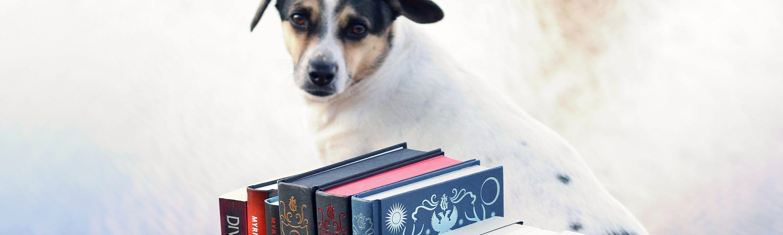 A dog sitting behind a stack of books