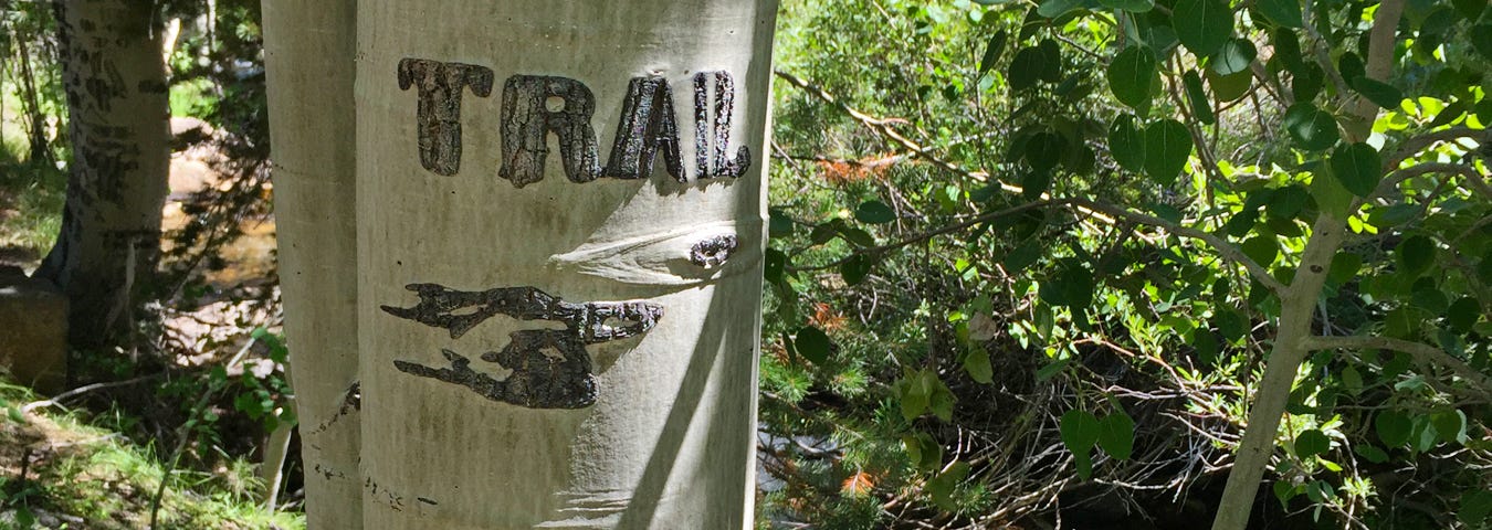 Photo of Trail Sign Carved Into Aspen on Trail Near Bridgeport California