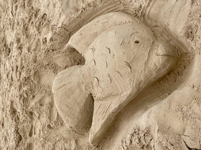 A fish shape molded out of the sand. The fish has a dorsal fin, tail fin, and fin on the bottom (a pelvic fin gone wrong). The sand creature looks friendly and has a small smile. Lisa McAully made this sand sculpture with her kids and niece on a beach by the Noosa River in Queensland, Australia. It’s a type of relaxed creativity, making something just because.