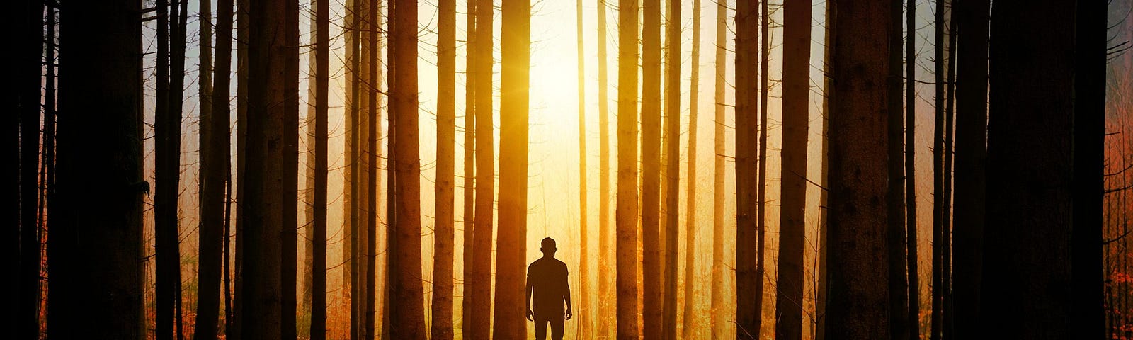 Man walking out of a dark forest into sunlight.