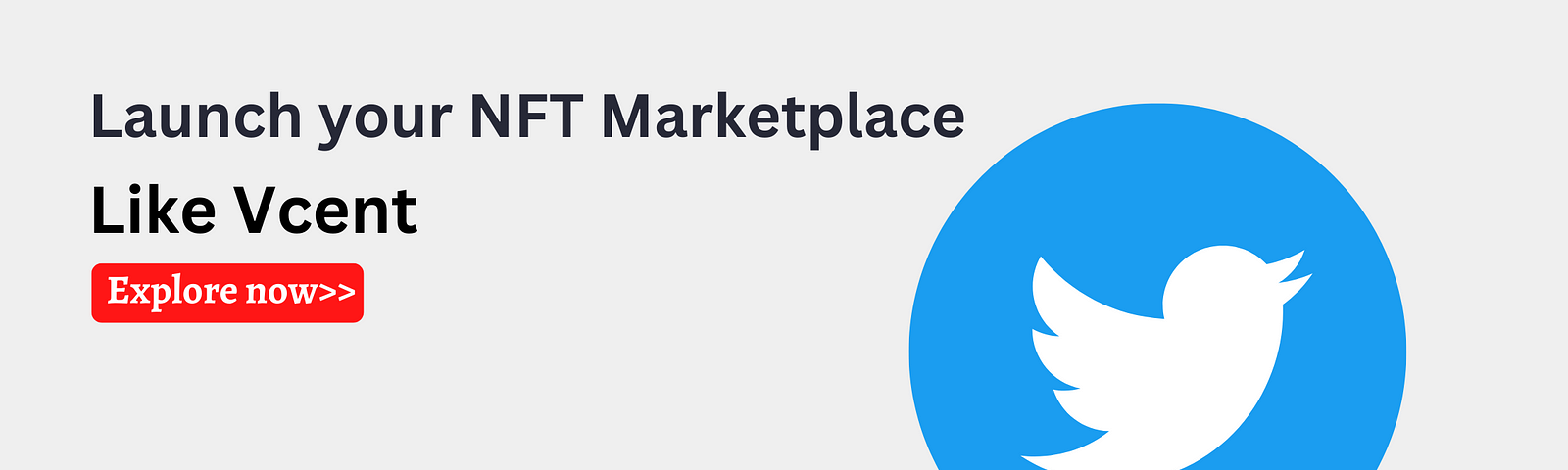 NFT Marketplace Development Company