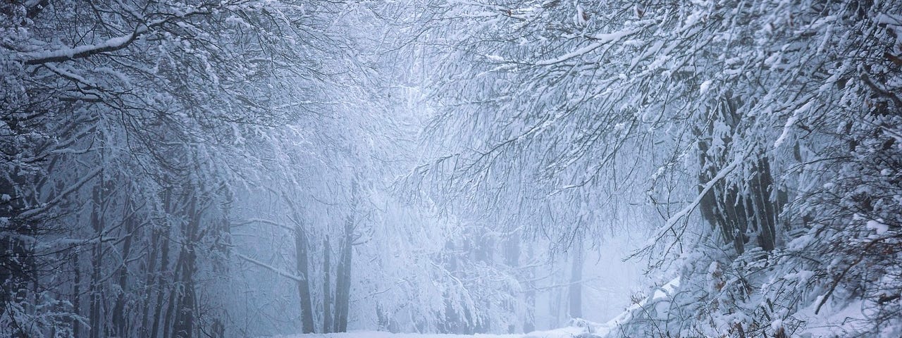 A barely-clear road through a winter wonderland of snow and trees