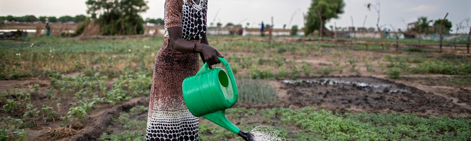 A woman waters vegetables on the farm of a vegetable producer group in Malou village, Bor county, Jonglei State, South Sudan. Photo by Will Baxter, Catholic Relief Services