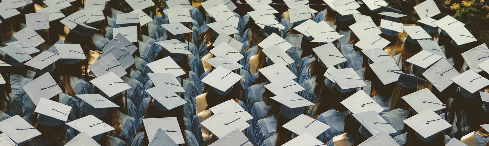 Large group of graduates wearing caps from behind