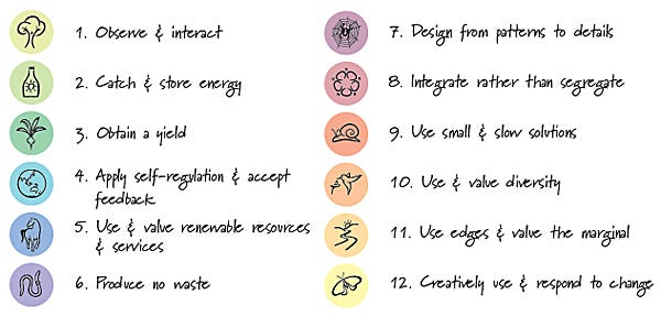 Permaculture Principles In My Daily Diet Integral Health Series 1 By Aline Van Moerbeke Permaculturewomen Medium