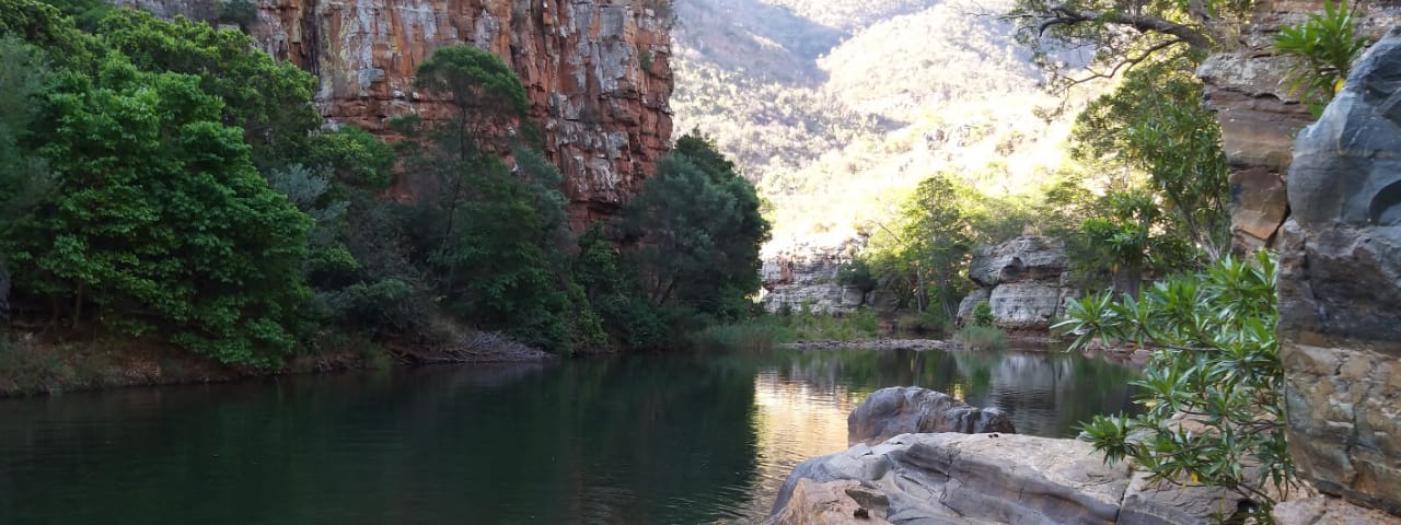 A scenic gorge with rocks, cliffs, green vegetation, a river and a mountain in the distance