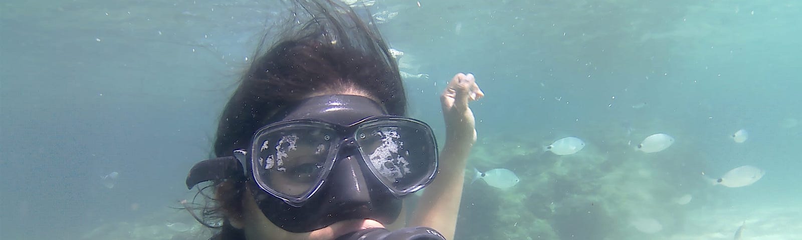 A woman in a scuba gear swimming underwater with the fish