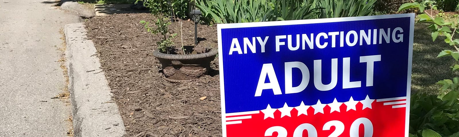 Political sign in yard, in red, white and blue, “Any Functioning Adult, 2020.” (Photo by Jyll Swearingen.)