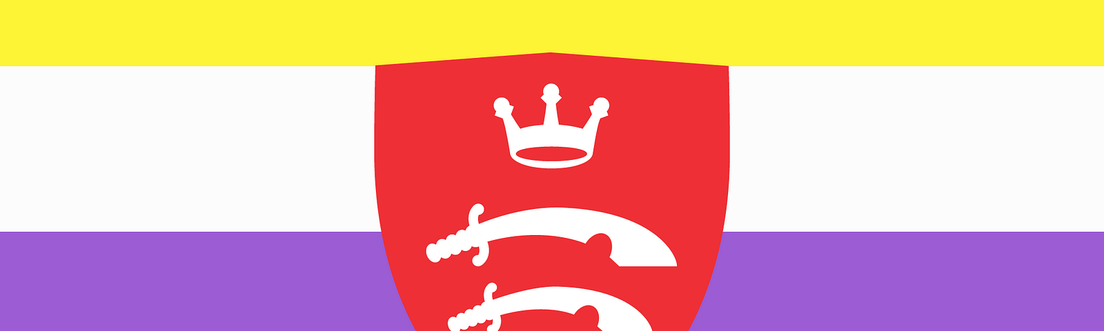 Non-binary flag with the Middlesex University shield