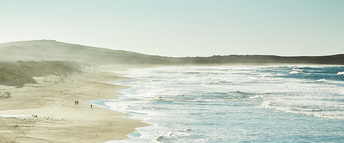 Beachscape in the late afternoon.