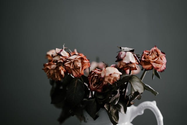 vase of faded roses