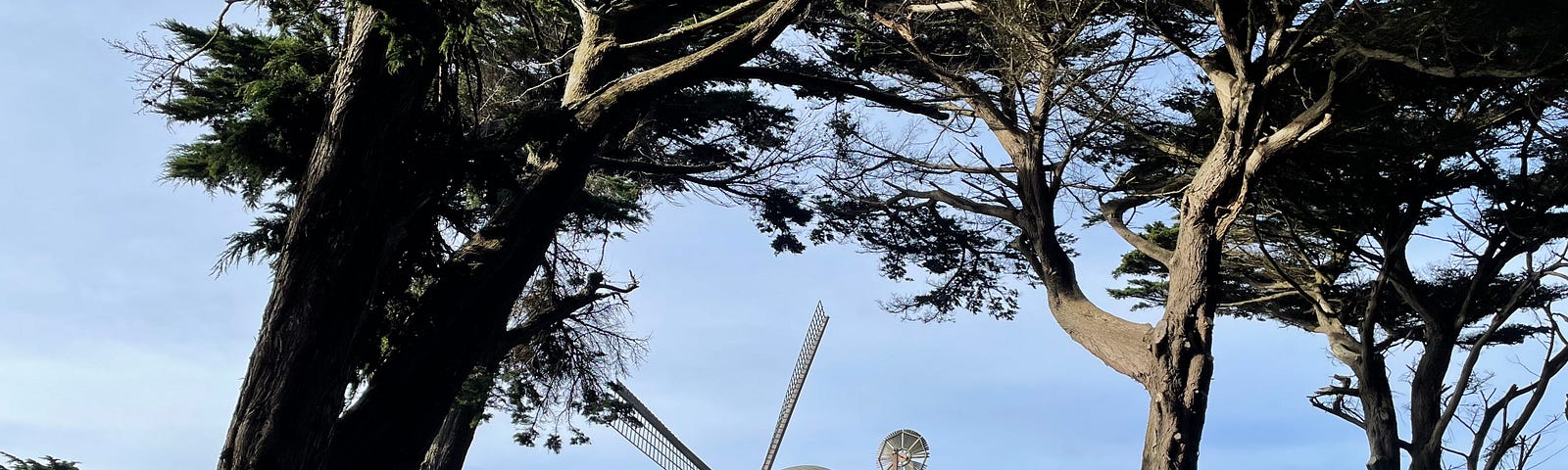 The Dutch Windmill seen between trees and shrubs in Golden Gate park