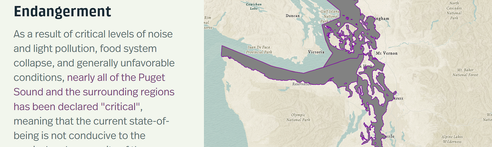 Endangerment: As a result of critical levels of noise and light pollution, food system collapse, and generally unfavorable conditions, nearly all of the Puget Sound and the surrounding regions has been declared “critical”, meaning that the current state-of-being is not conducive to the survival and prosperity of the Southern Residents.