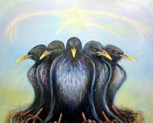“Starling Pact” By Don Wesley
