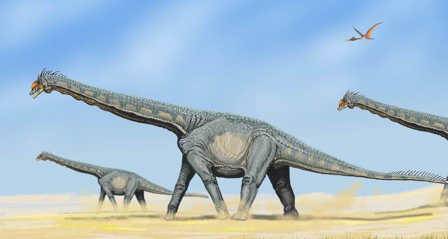 Illustration of a herd of Alamosaurus dinosaurs walking near a water source, with long necks and tails, and a pterosaur flying in the sky above.