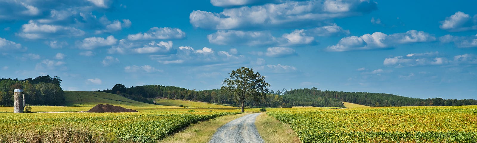 A gravel farm road on a sunny day