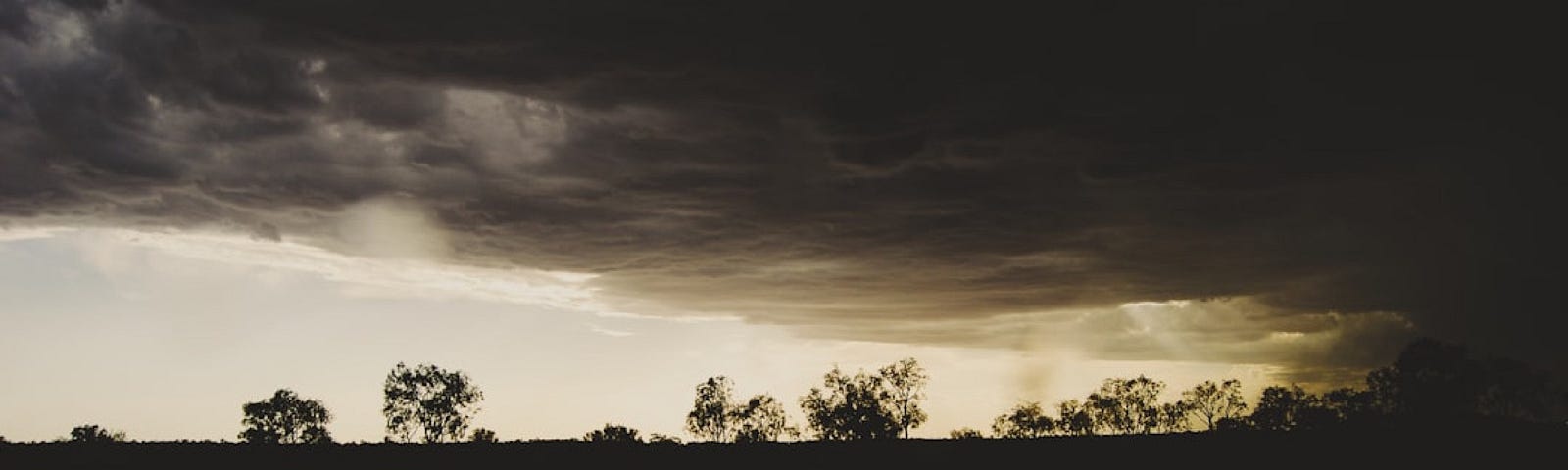 A silhouette of trees in the horizon with dark storm clouds rolling in from the right.