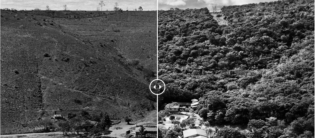 Two photos side by side. The one of the left shows a degraded farmland with not trees. The one on the right shows the land years later restored as a forest.