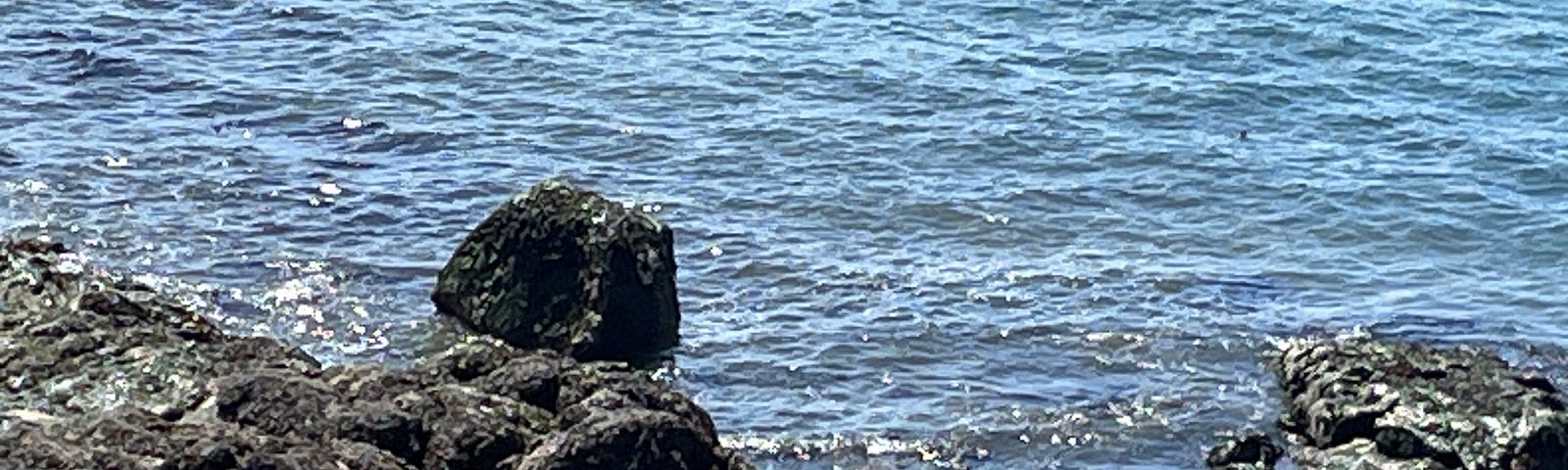 rocky shoreline on a sunny day