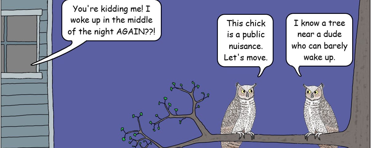 Two owls discuss moving to a new tree.