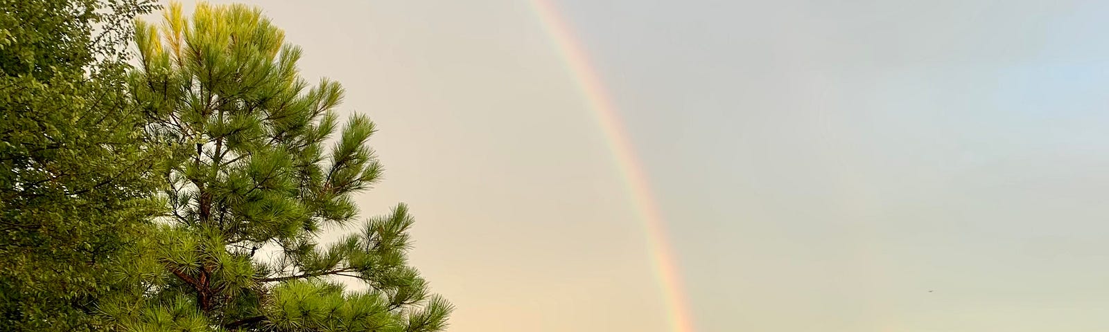 Rainbow over lake