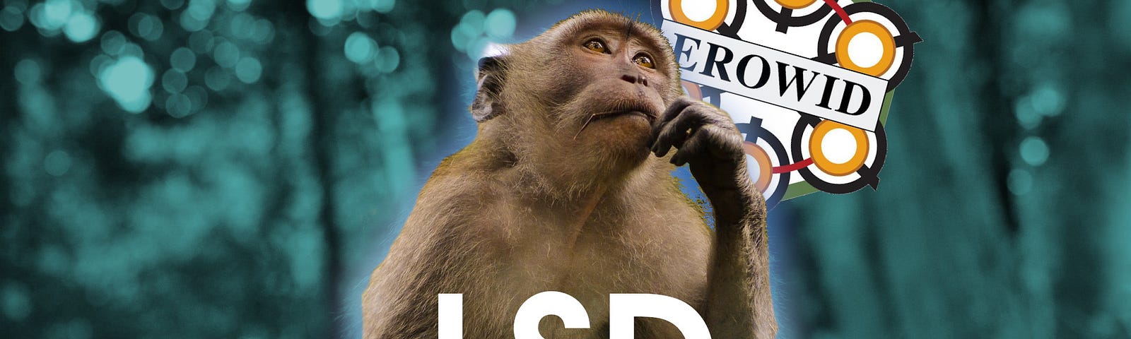 LSD erowid survey monkey thinking