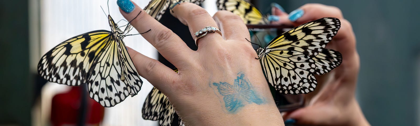 Photo of butterflies landing on a person’s hands.