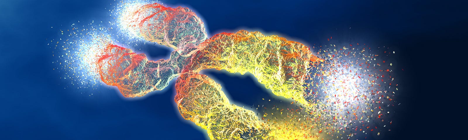 A color illustration of a gene, with the ends (telomeres) glowing. The DNA is red and yellow, against a dark blue background. Damage to our cells hinges on several factors, including lifestyle and inherited genetics. The somewhat controversial free radical theory of aging postulates that oxidative damage is the primary cause of aging.