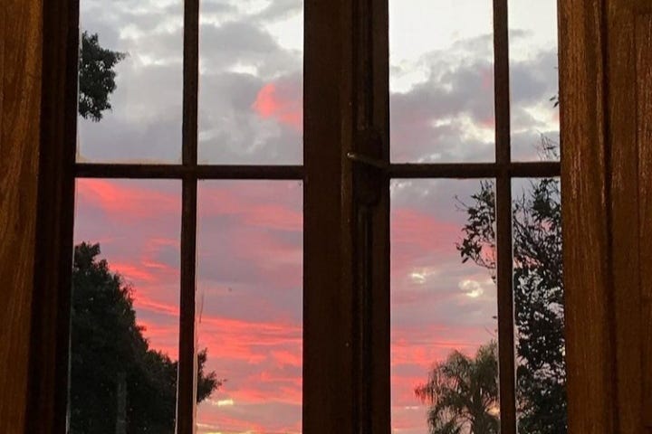 Fotografia de uma janela de vidro com estrutura de madeira. Por trás se vê a copa de algumas árvores e um céu de nuvens rosadas, raiando o dia.