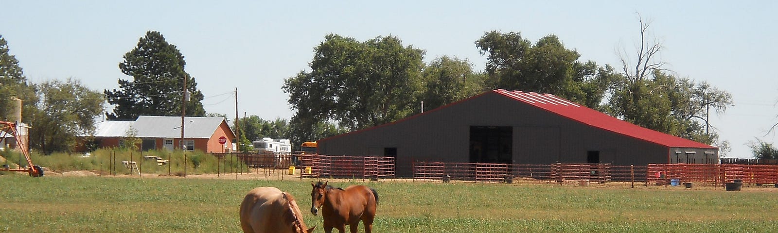 Image shows two horses in a paddock with their barn behind them on a sunny New Mexico day