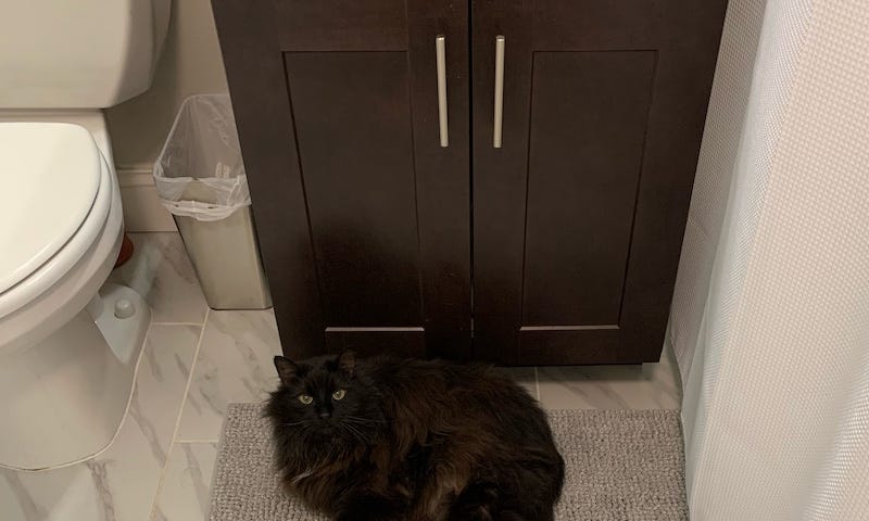 A black cat on a bathmat