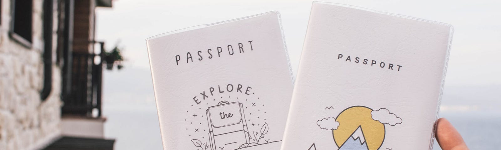 Fancy passports held in hands