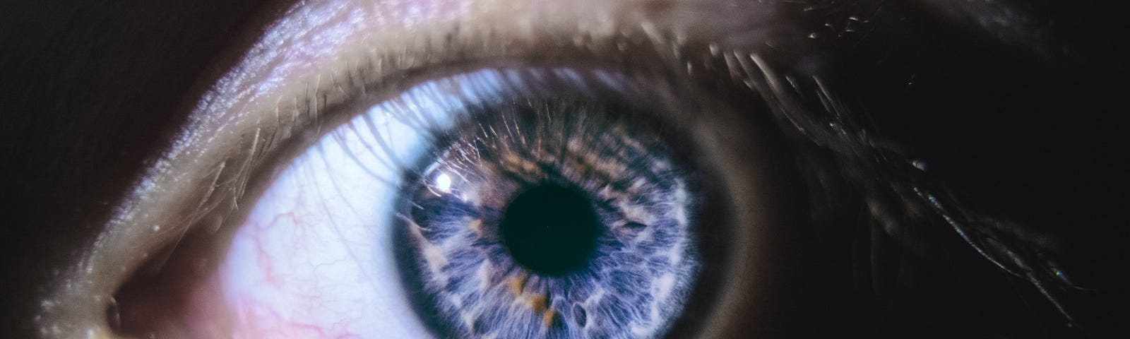 Close up photo of a person’s eye